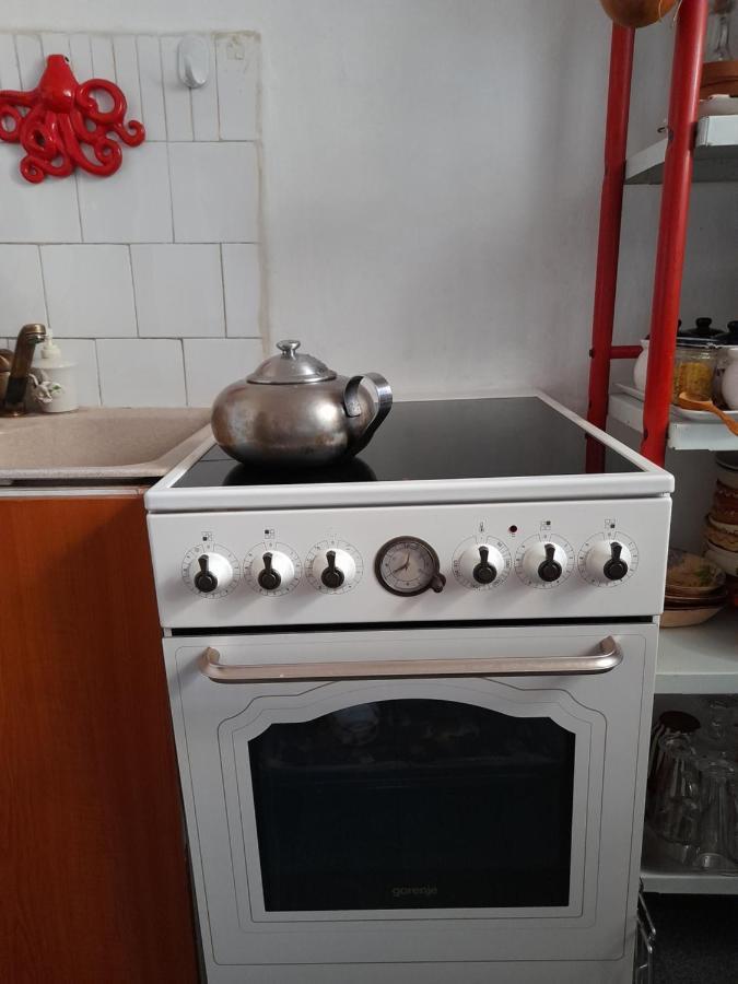 Apartament Anca Τιμισοάρα Εξωτερικό φωτογραφία