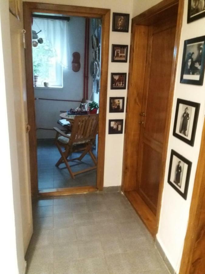 Apartament Anca Τιμισοάρα Εξωτερικό φωτογραφία